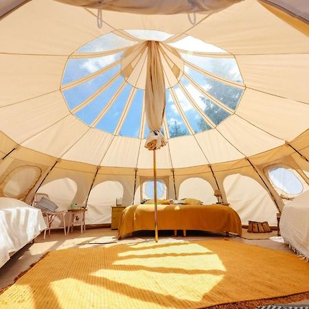 Eco Ceiba Hotell Busque Eksteriør bilde