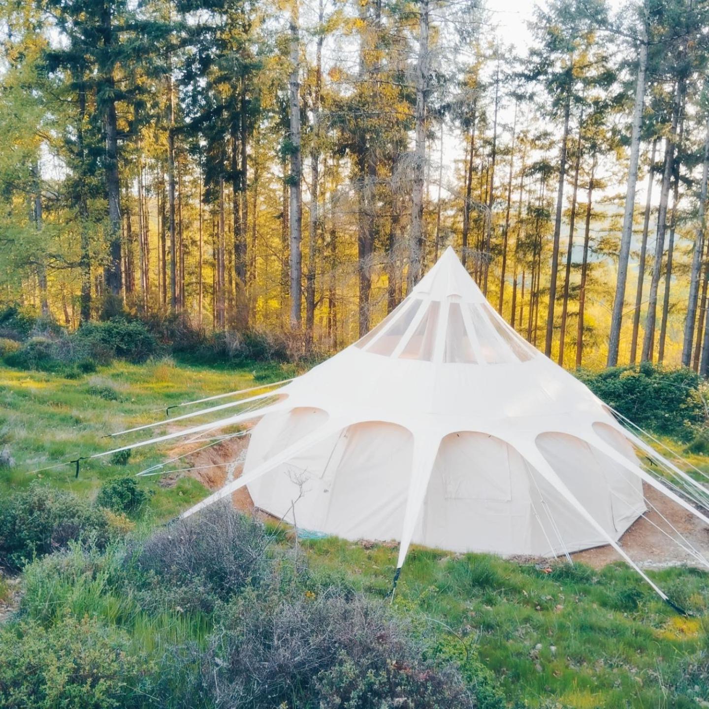 Eco Ceiba Hotell Busque Eksteriør bilde